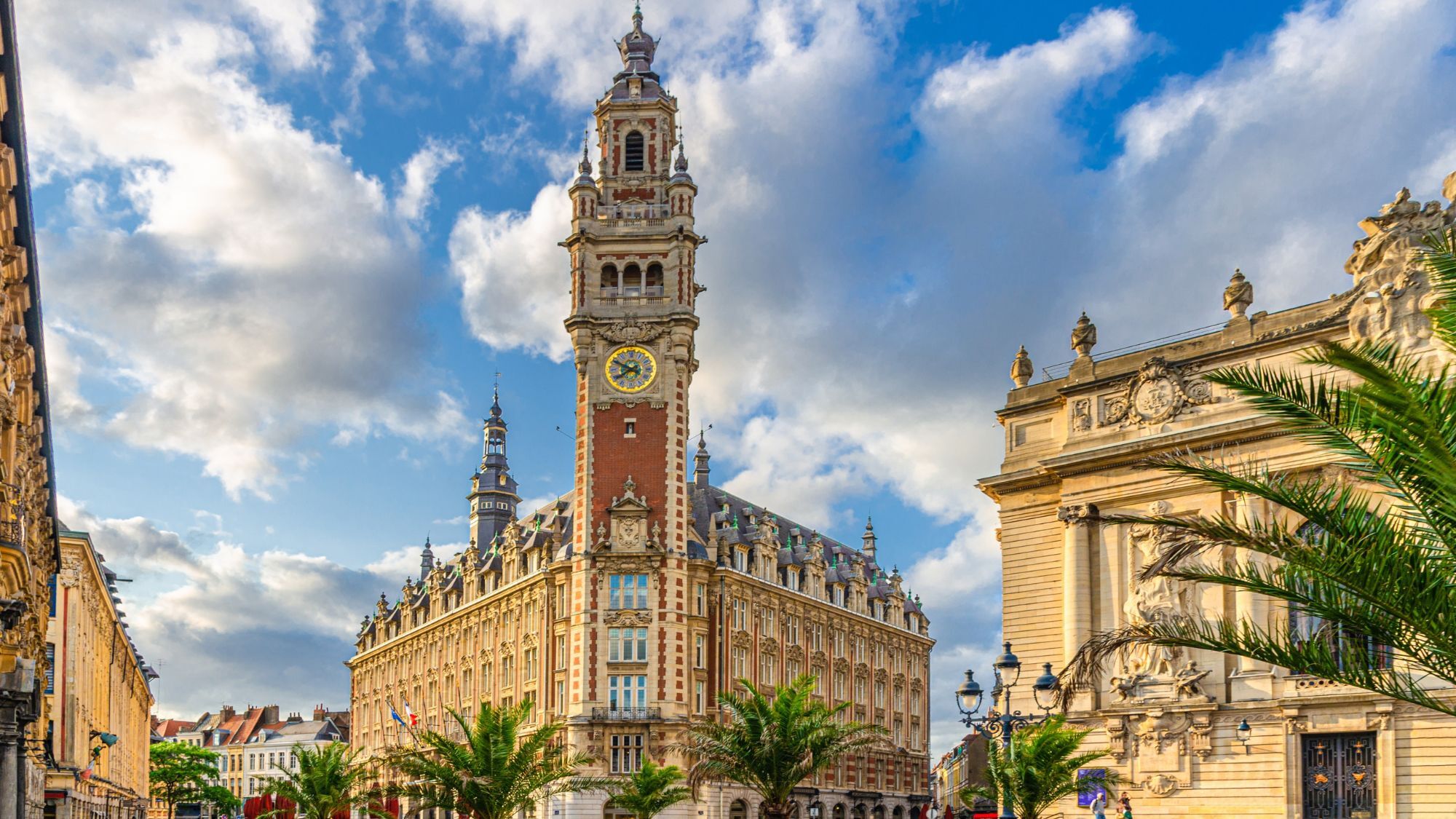 beffroi-palmiers-opera-ciel