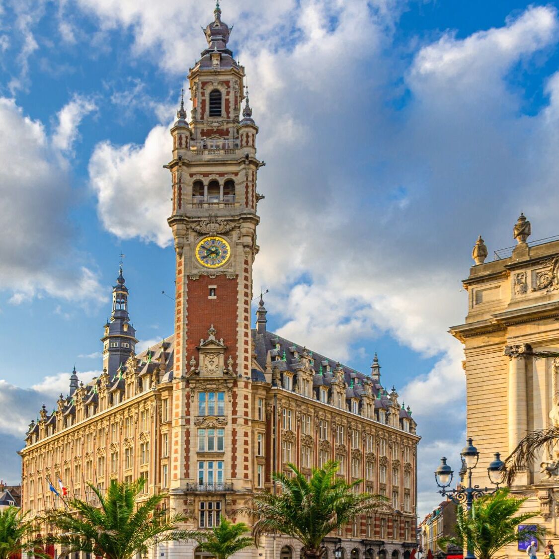 beffroi-palmiers-opera-ciel