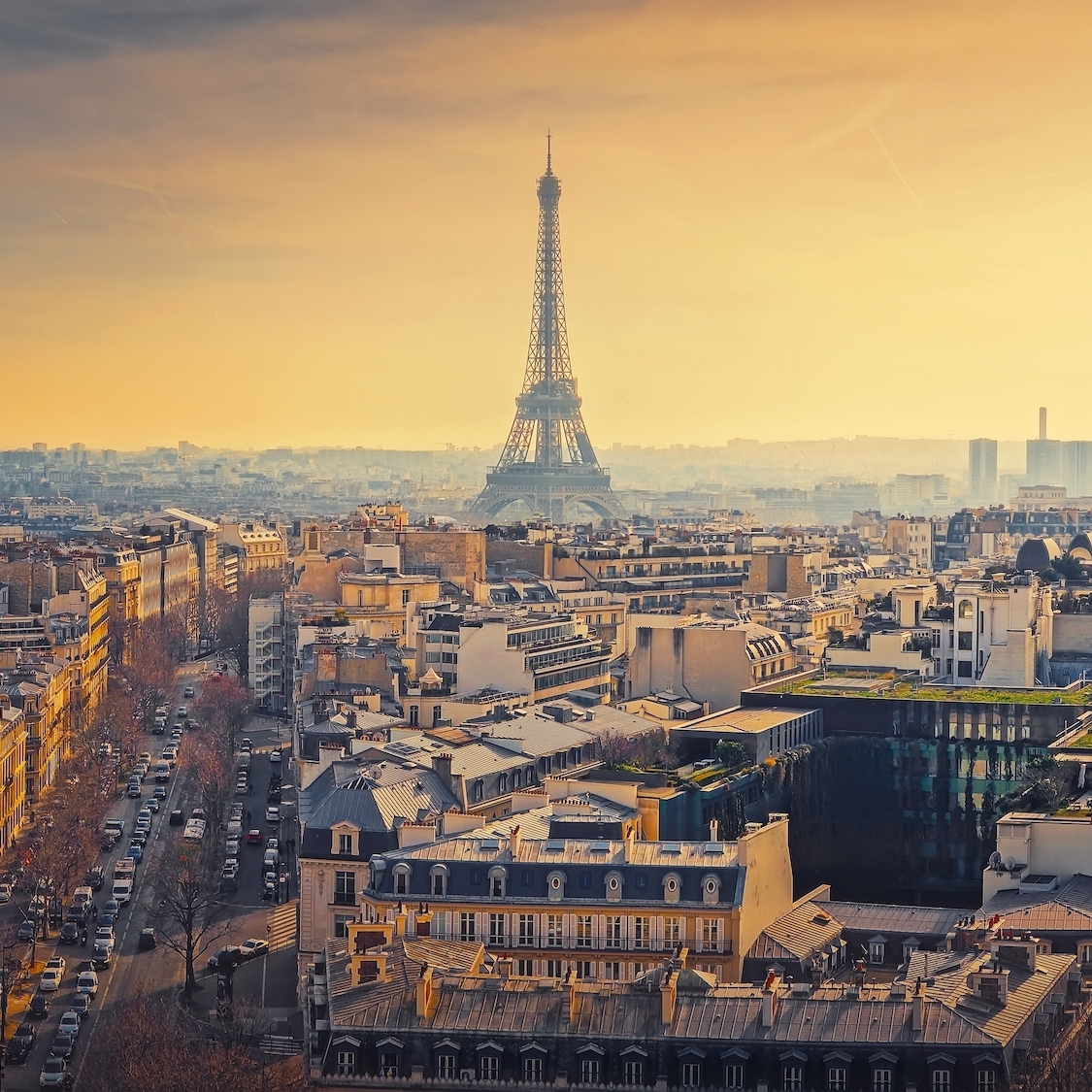 shutterstock-2698329259