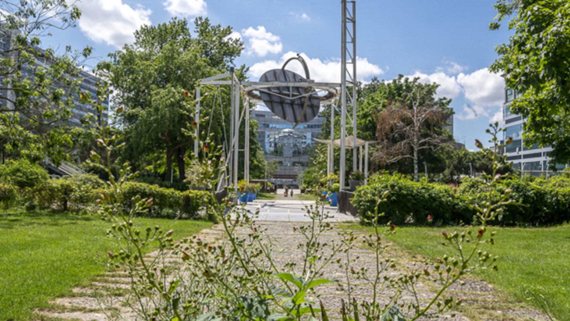 image-processing20220510-28764-1vz85wz