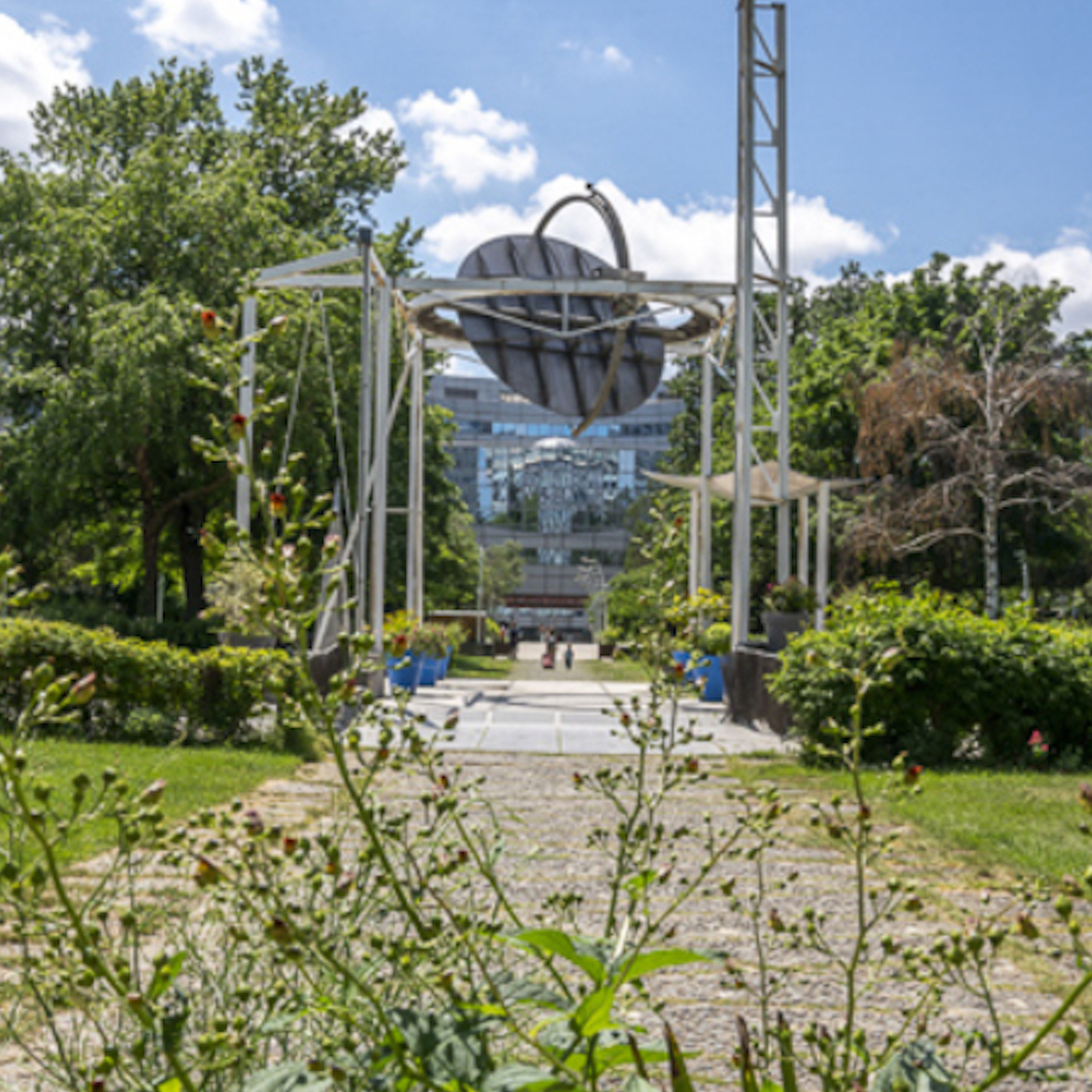 image-processing20220510-28764-1vz85wz