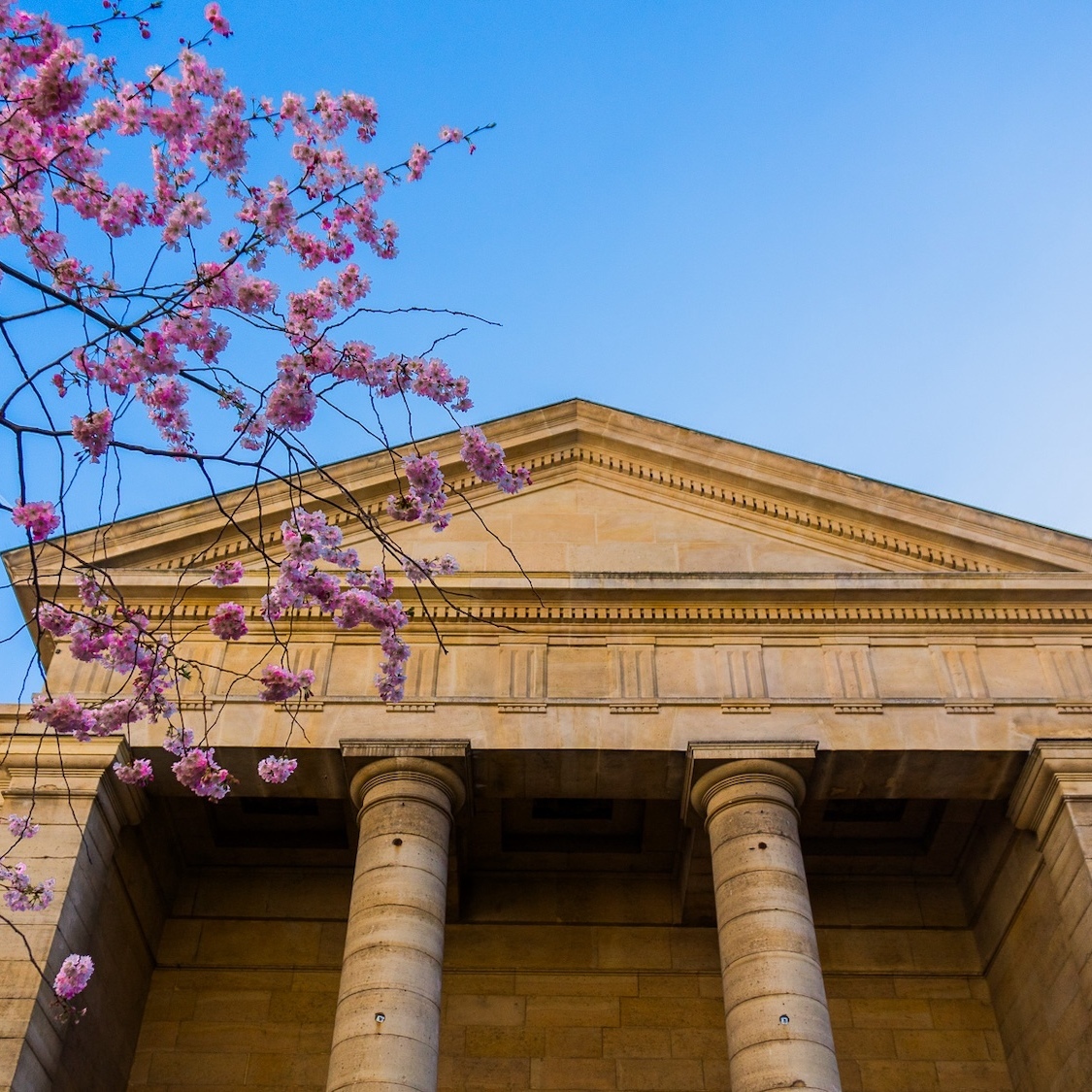 paris-credit-jagoda-bartus-le-bonbon