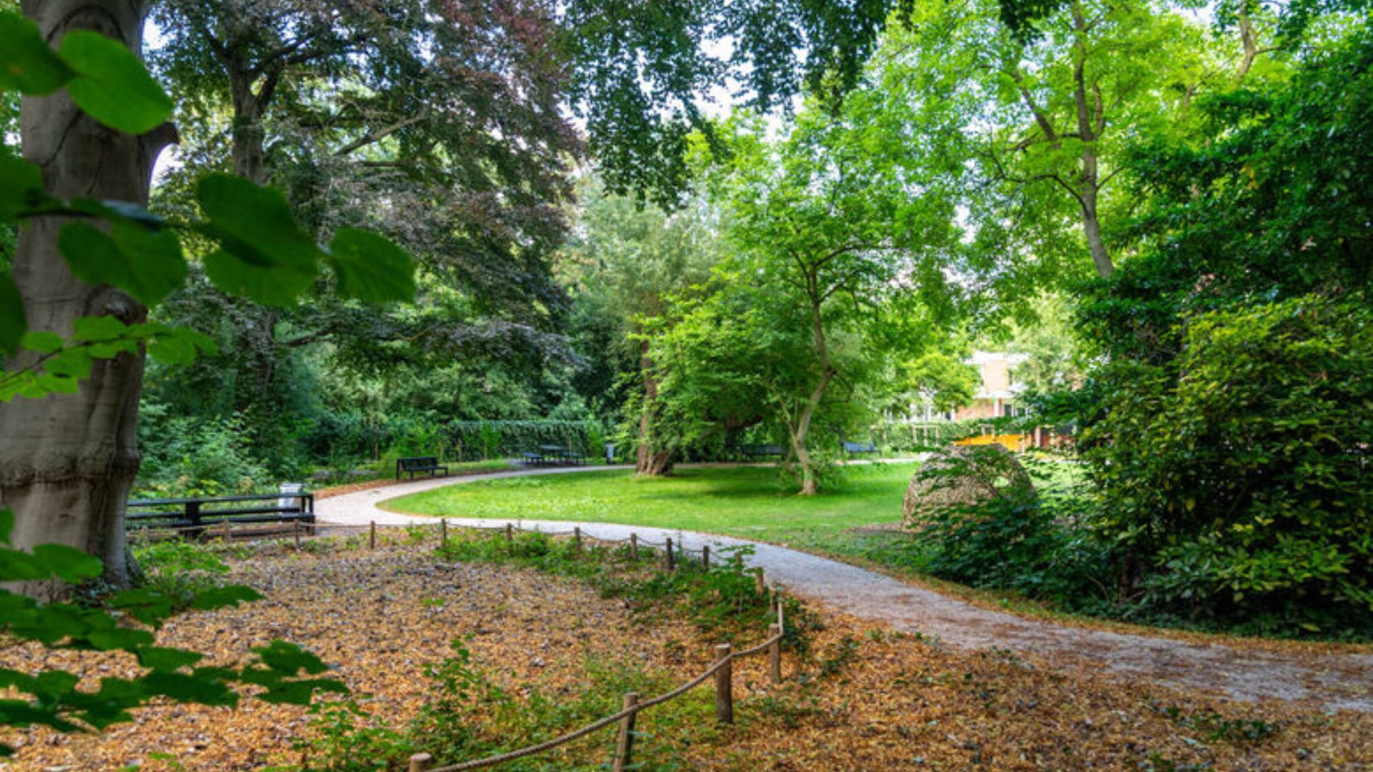 parc-arbres-feuilles-bancs