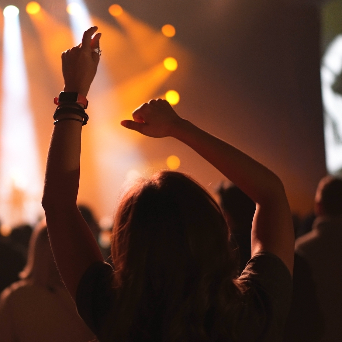 shutterstock-2384987673