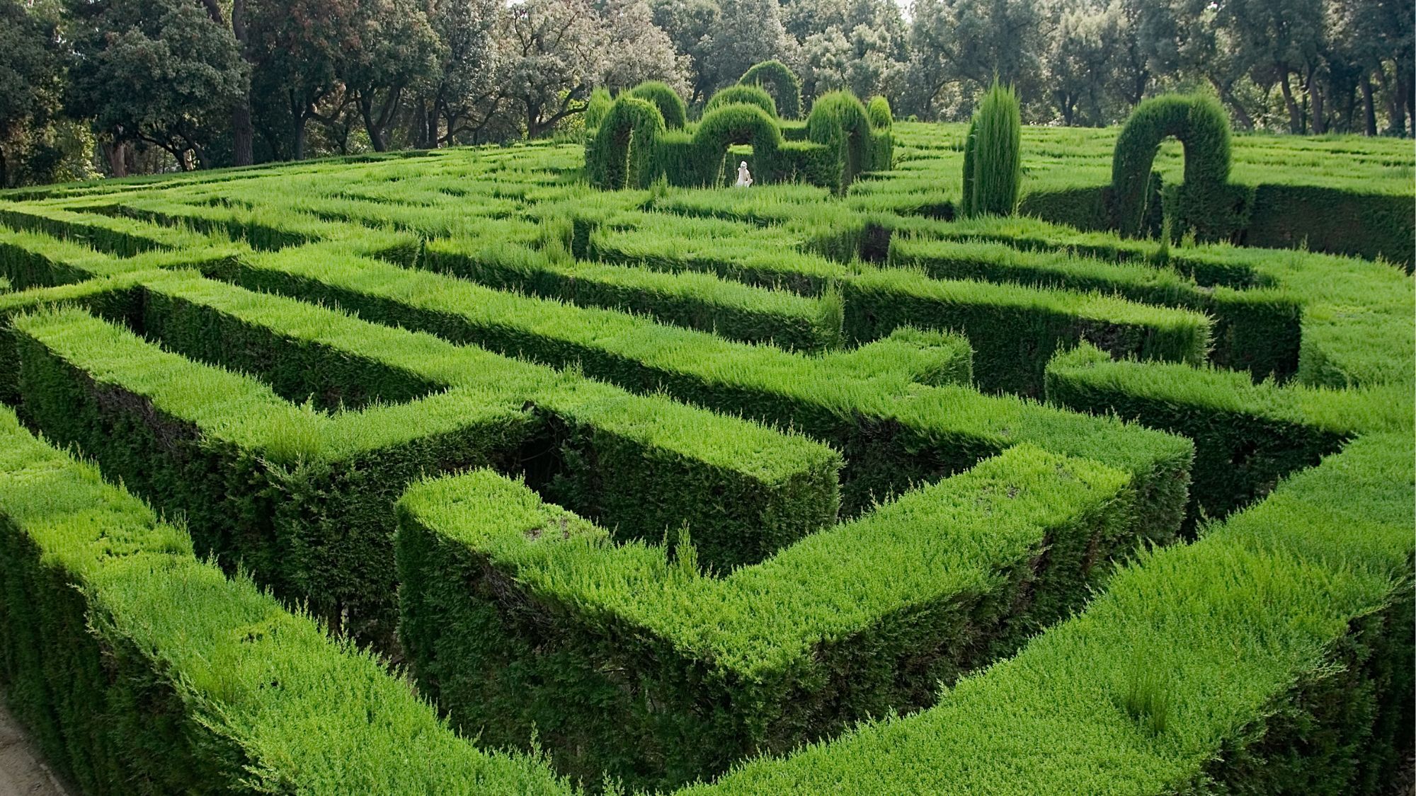 A giant free maze is set up near Lille for a day of tales and legends! labyrinthe-vegetal-arbres