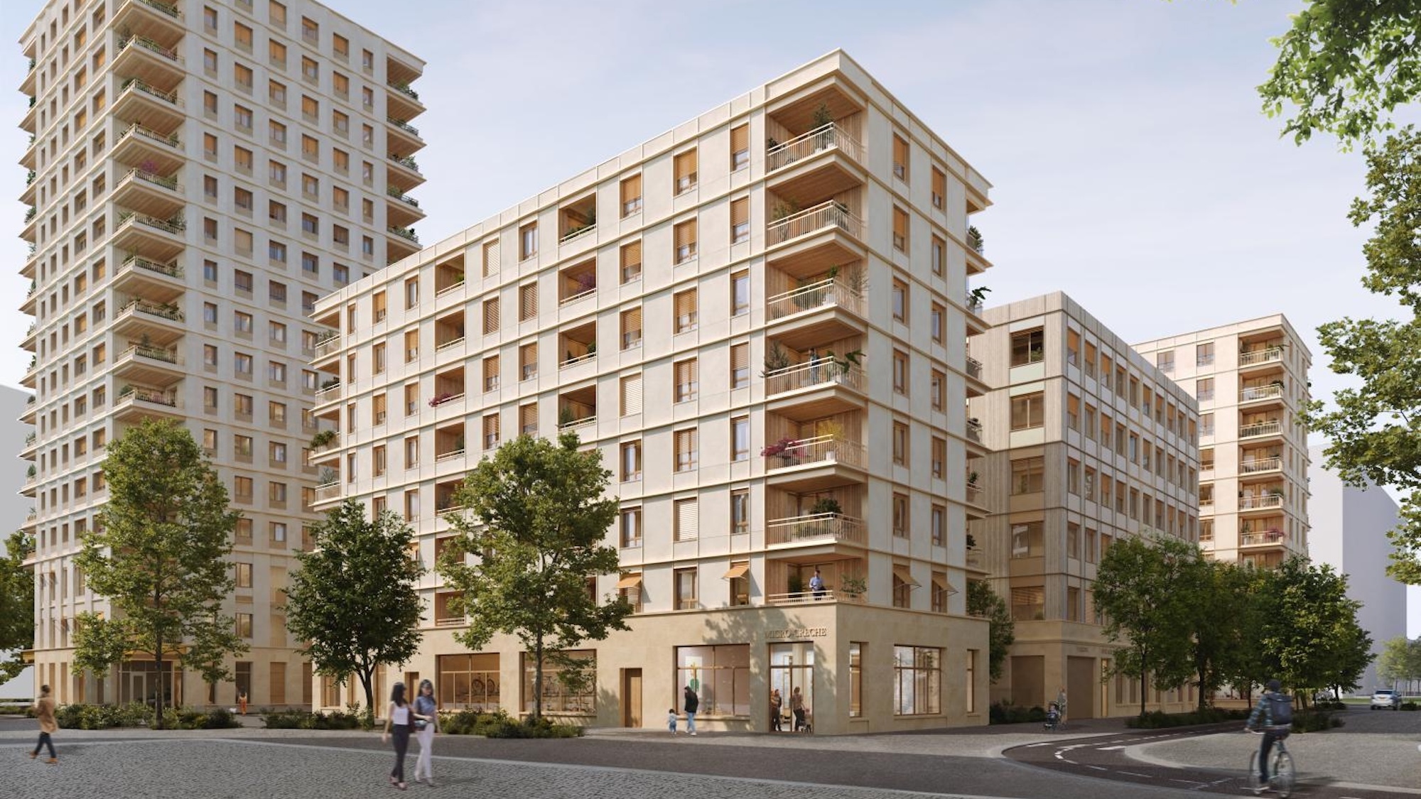 batiment-lyon-confluence-bois-scolyte