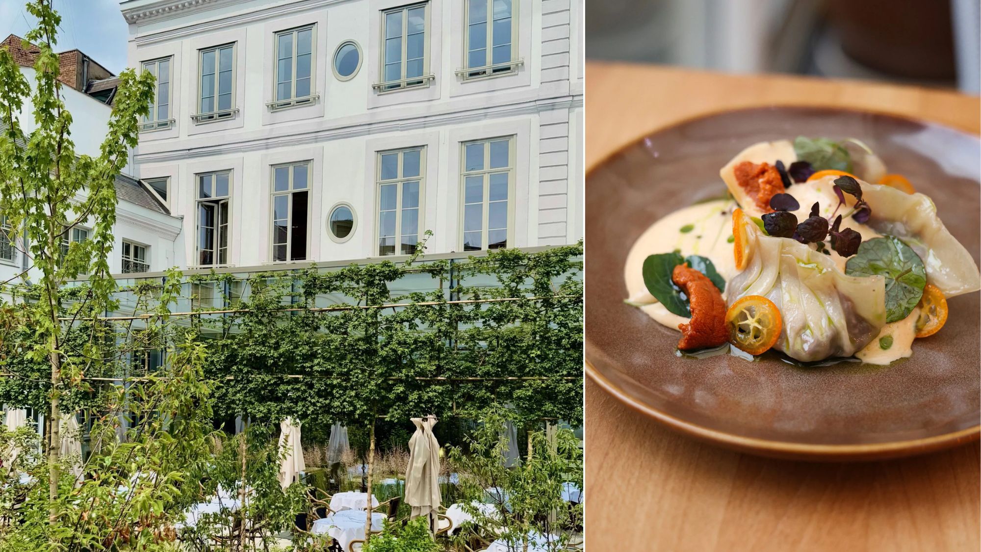 terrasse-arbres-plat-raviolis