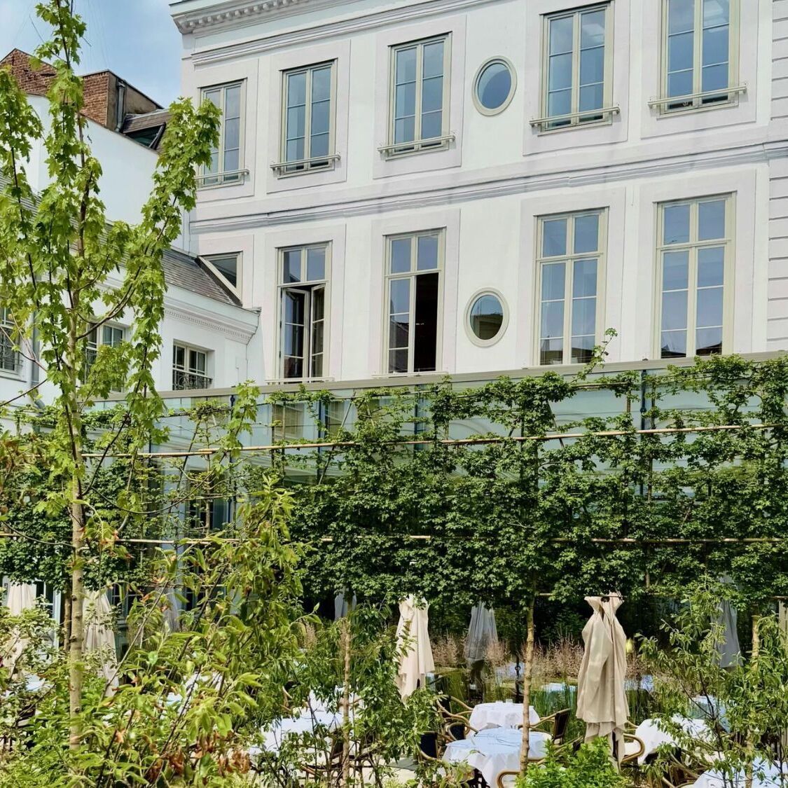 terrasse-arbres-plat-raviolis