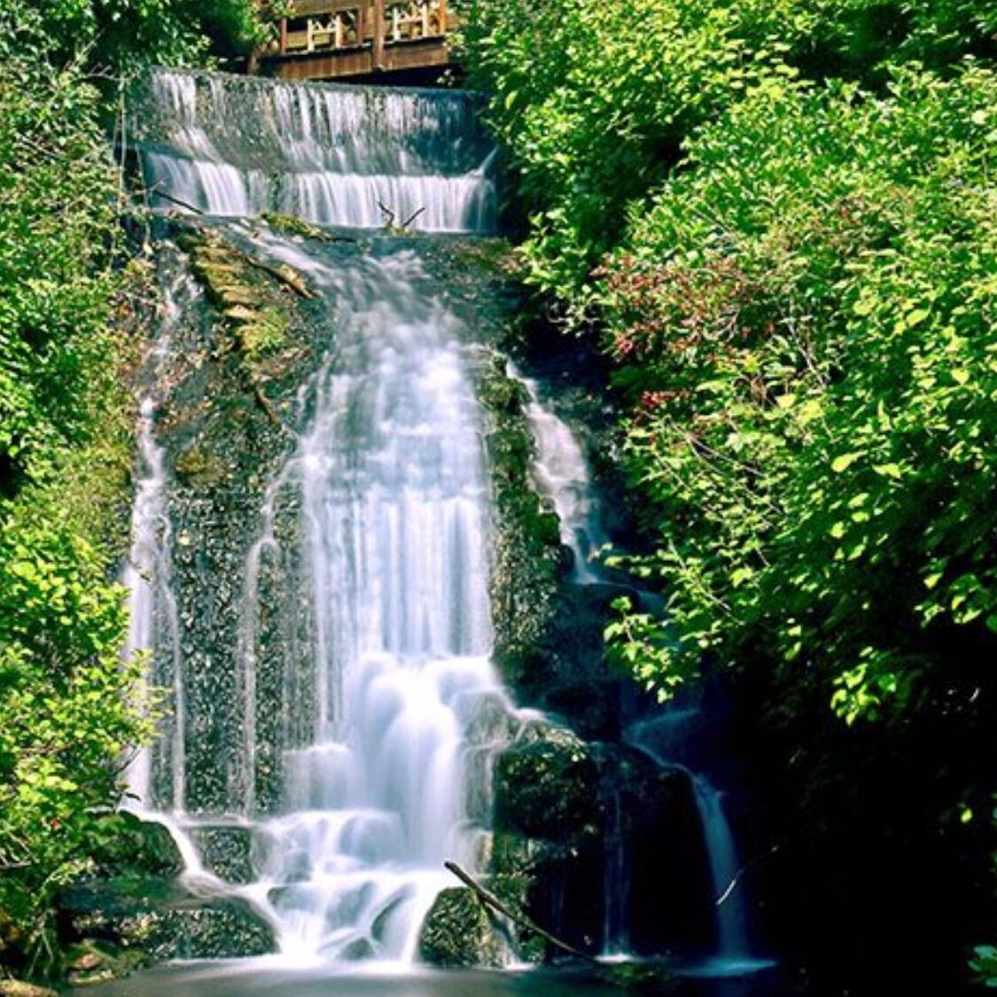 Cet écrin de verdure à 1h30 de Lille ressemble à un petit paradis caché cascade-nature