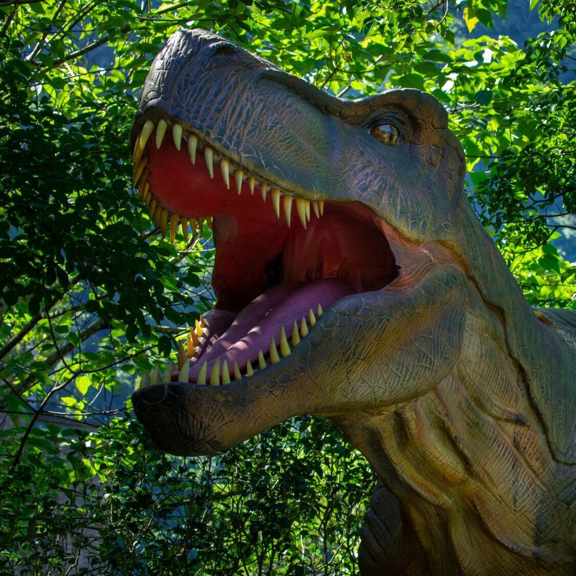 exposition-dinosaure-strasbourg