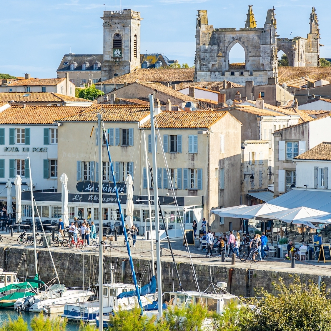 shutterstock-2326802525