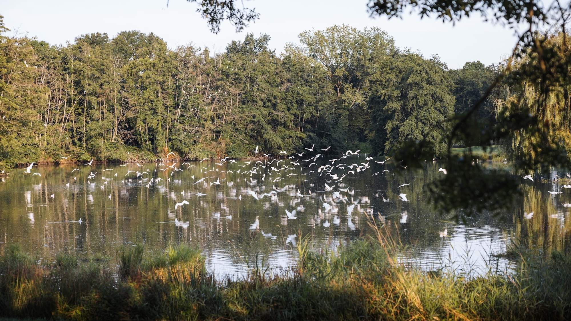 etang-du-domaine-du-gouverneur-french-wanderers-co