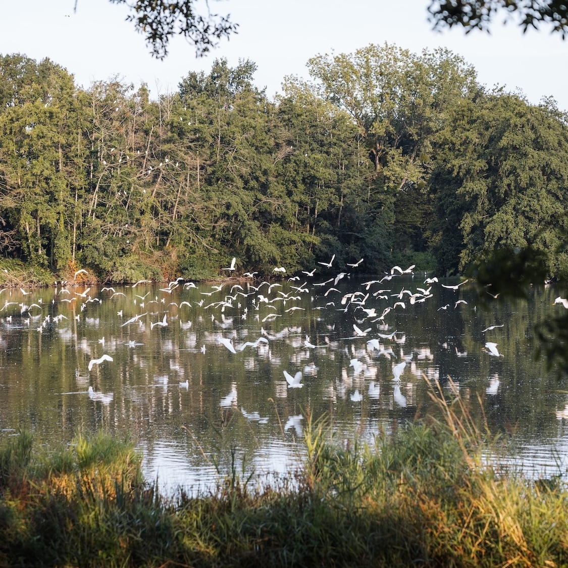 etang-du-domaine-du-gouverneur-french-wanderers-co