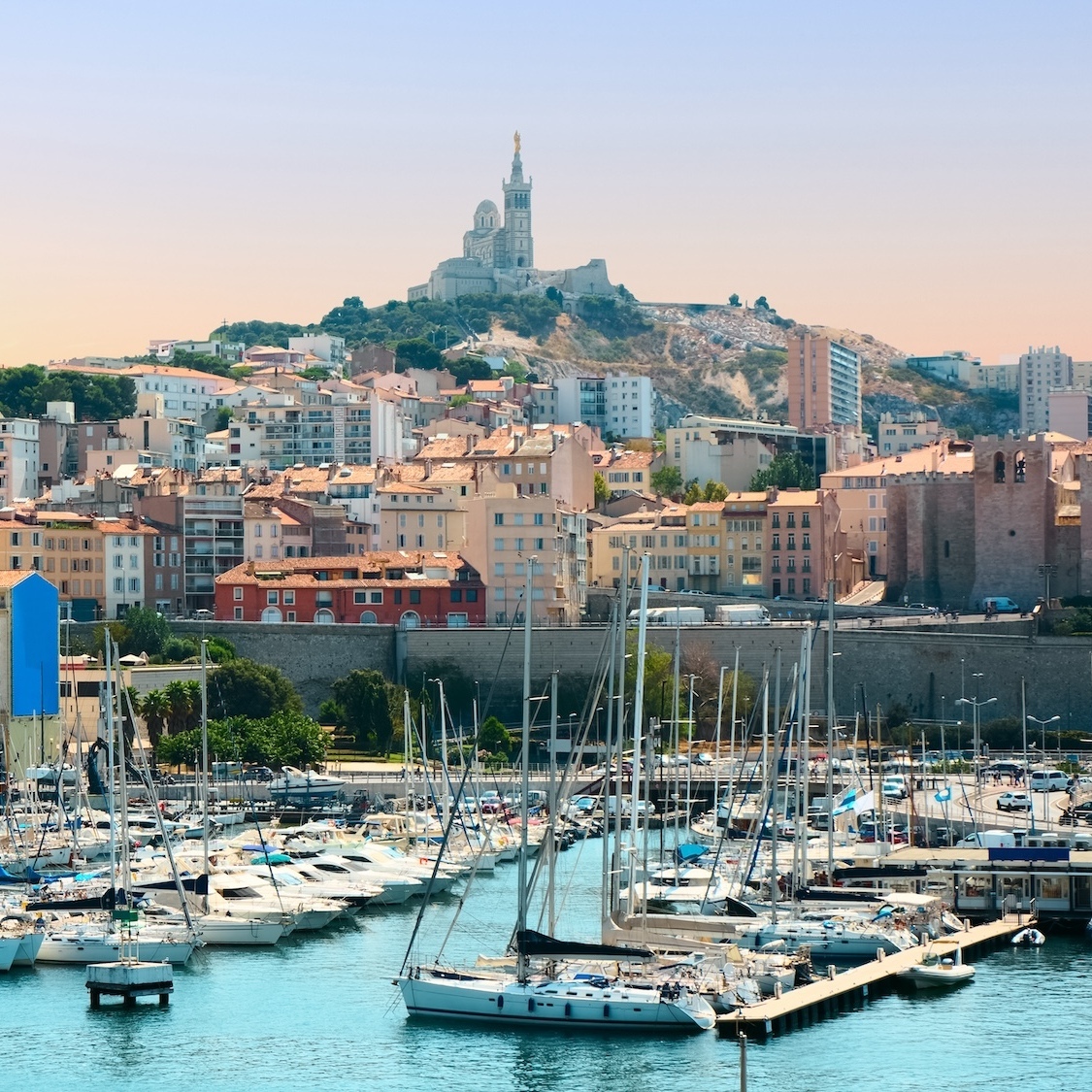 The cheekiest cat in France is arriving in Marseille for its 35th birthday! shutterstock-1893110107