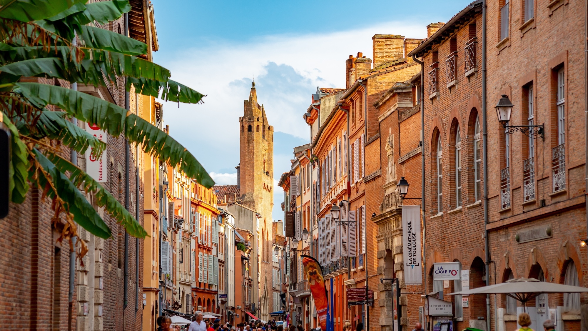 Le chat le plus espiègle de France débarque à Toulouse pour son 35e anniversaire shutterstock-2569604241