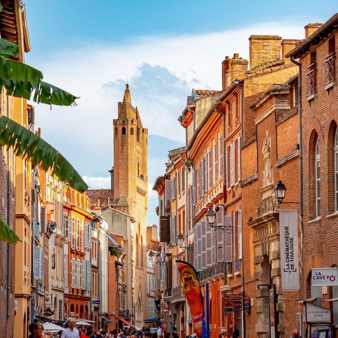 shutterstock-2569604241