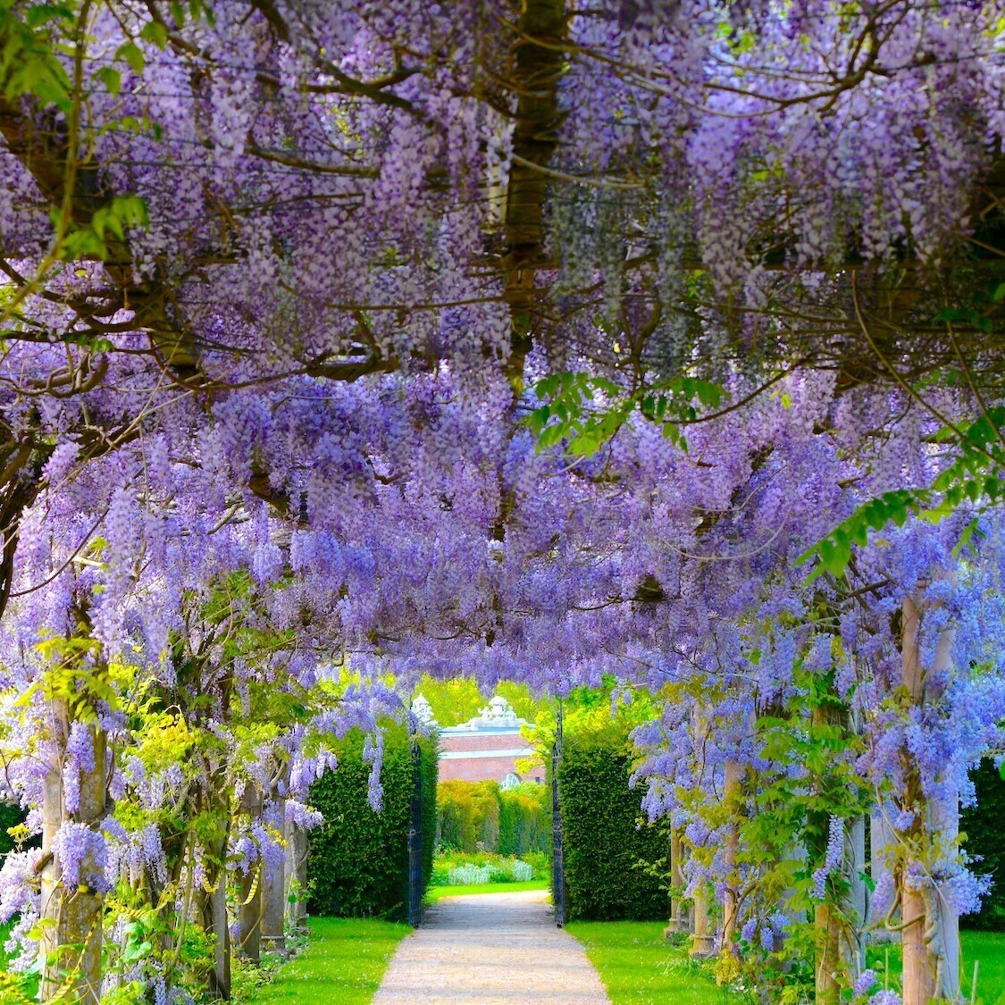 jaroslaw-laka-cqp-k1kmrnq-unsplash-2-2000