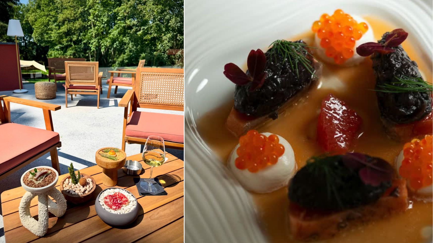 assiette-terrasse-oeufs-poisson-sauce