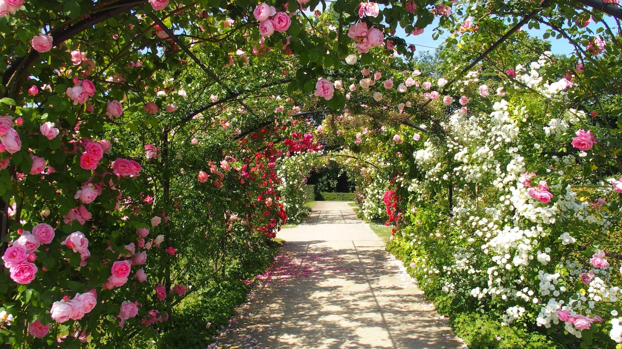 jardin-bonne-maison-lyon-fermeture