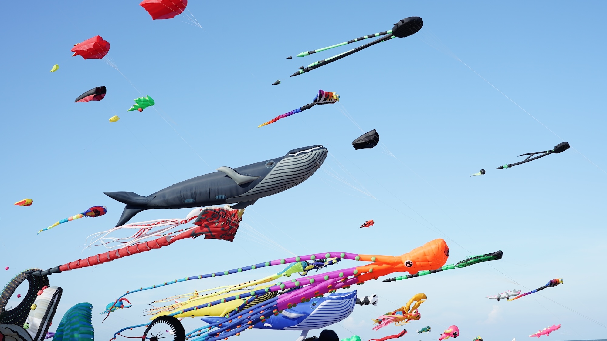 Un festival de cerfs-volants spectaculaire à moins de 3h de Paris pond-thananat-shutterstock