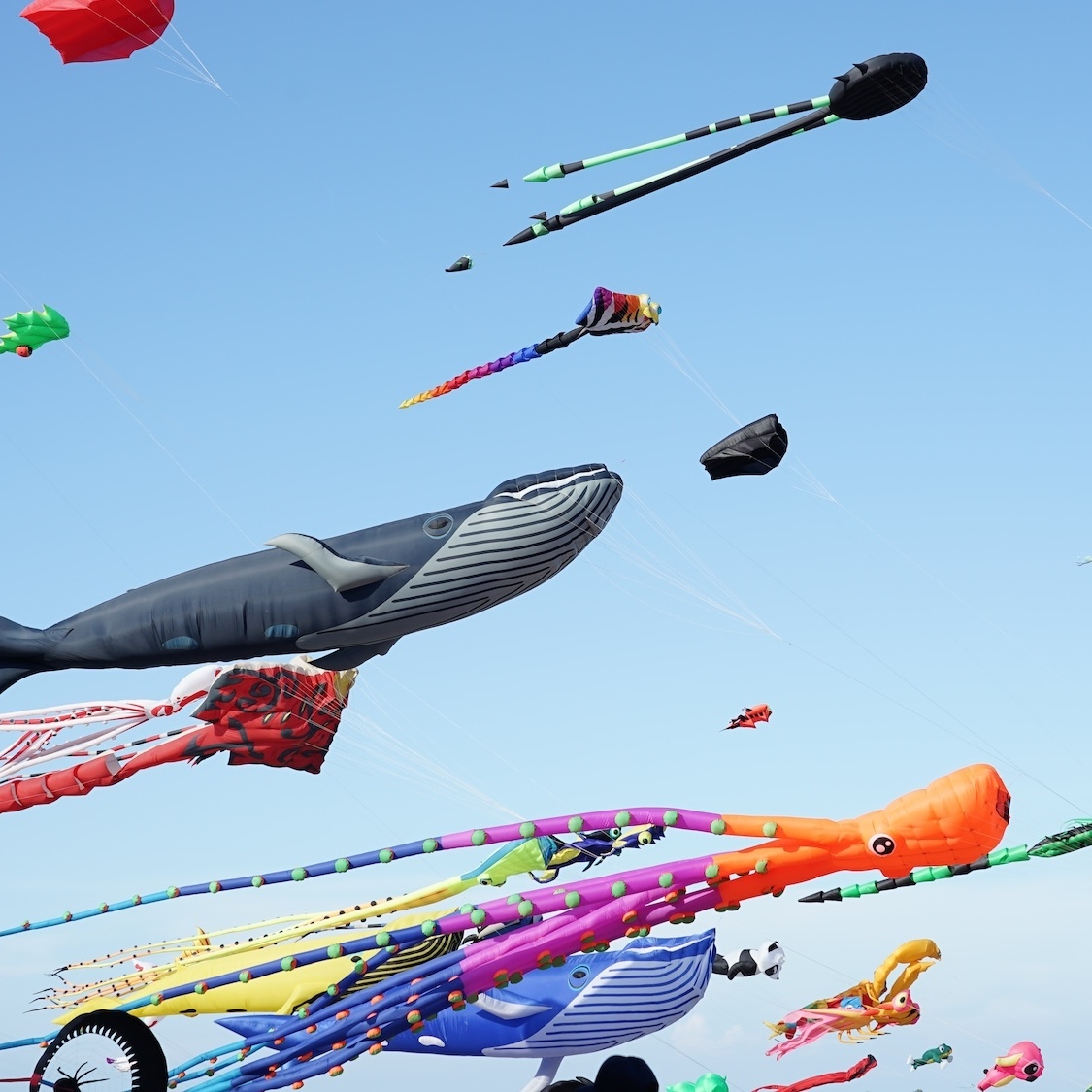 pond-thananat-shutterstock