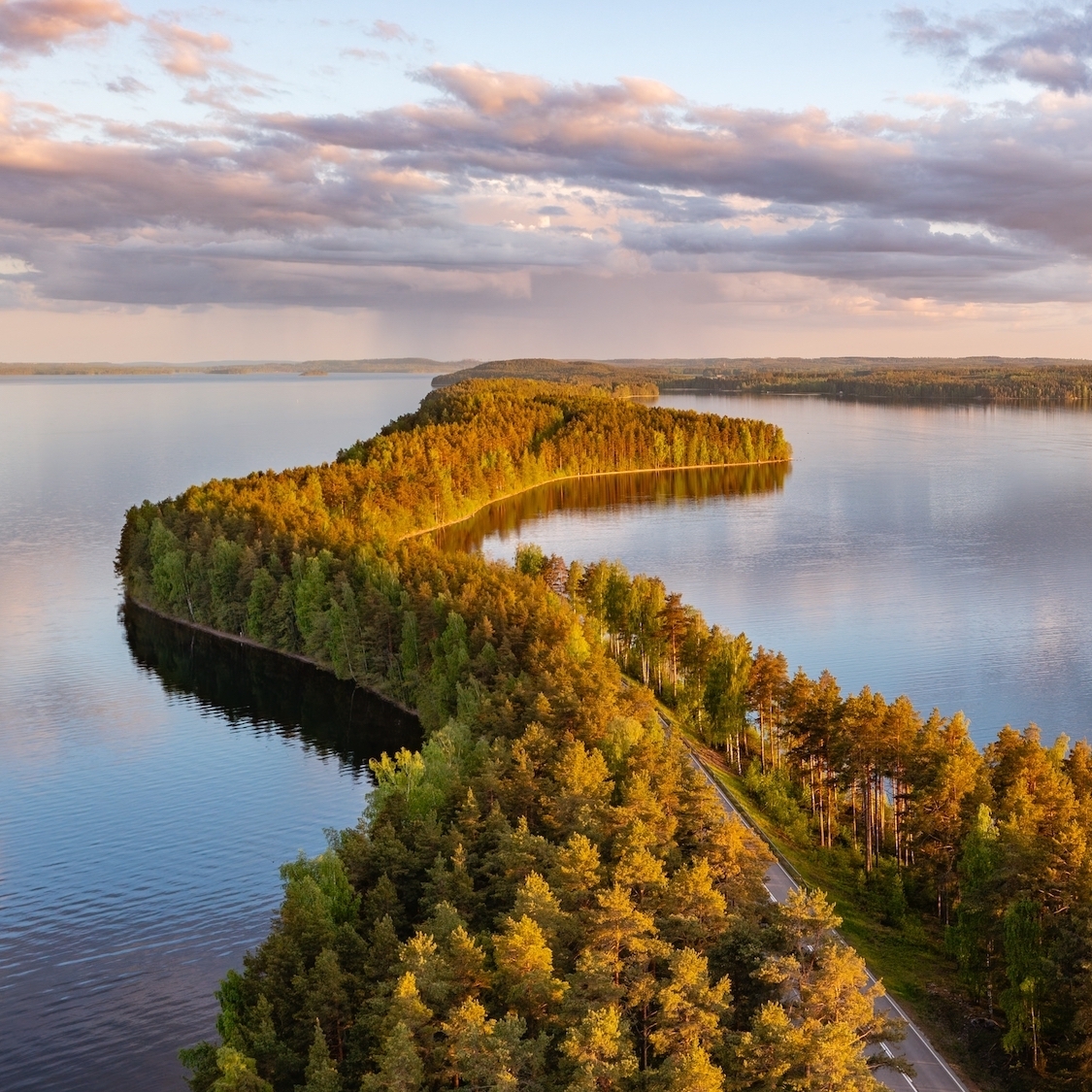 shutterstock-2639703961