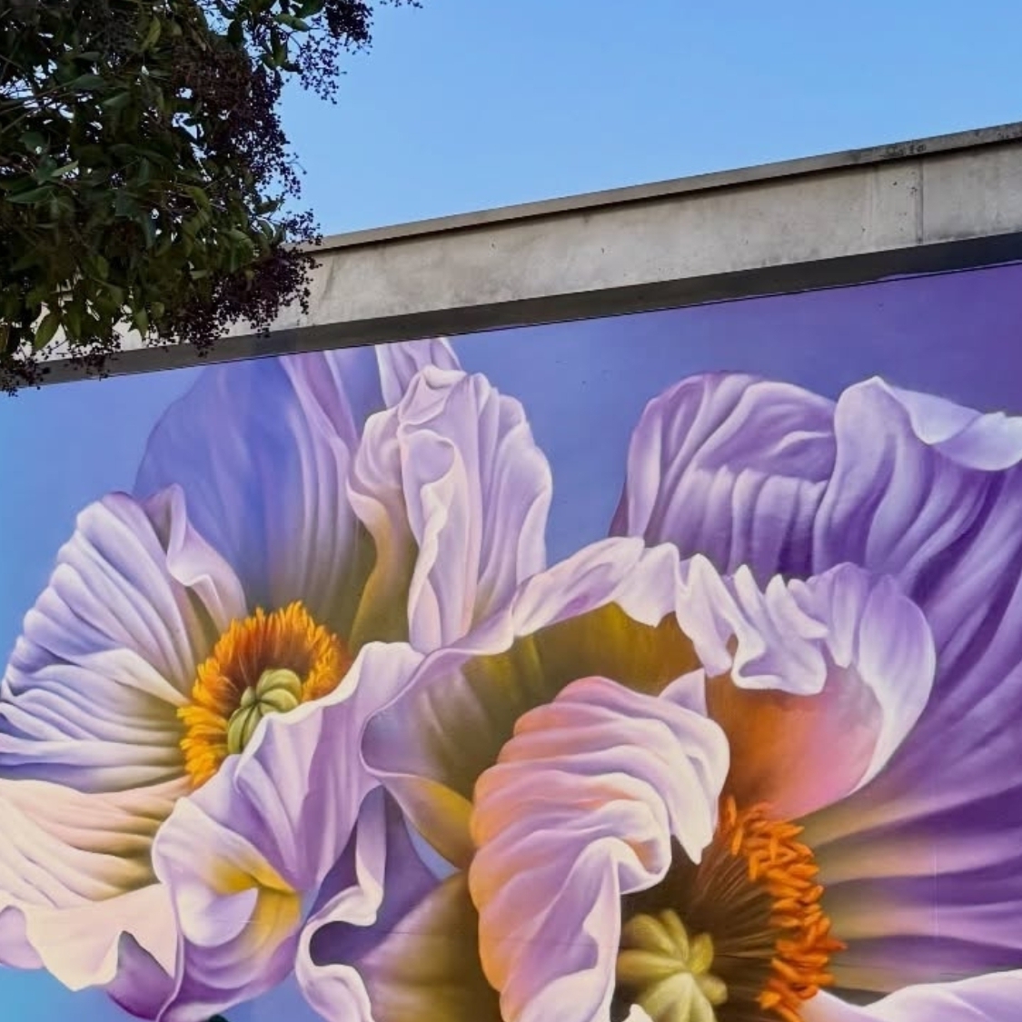 sorties-cultures-reims-2026