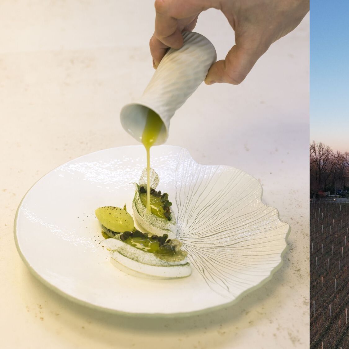 belles-perdrix-adrien-salavert