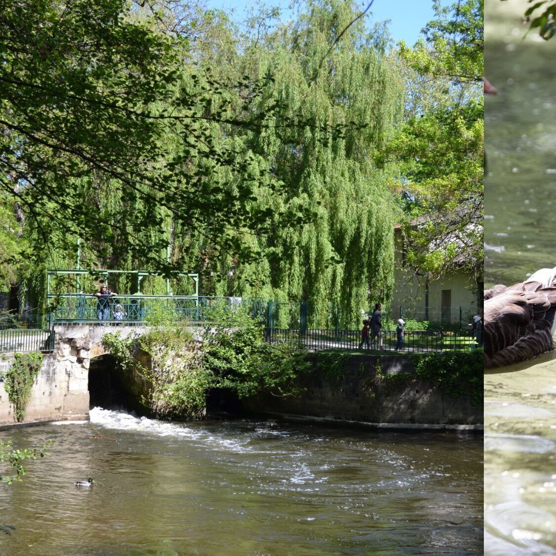 parc-rene-canivenc-moulineau