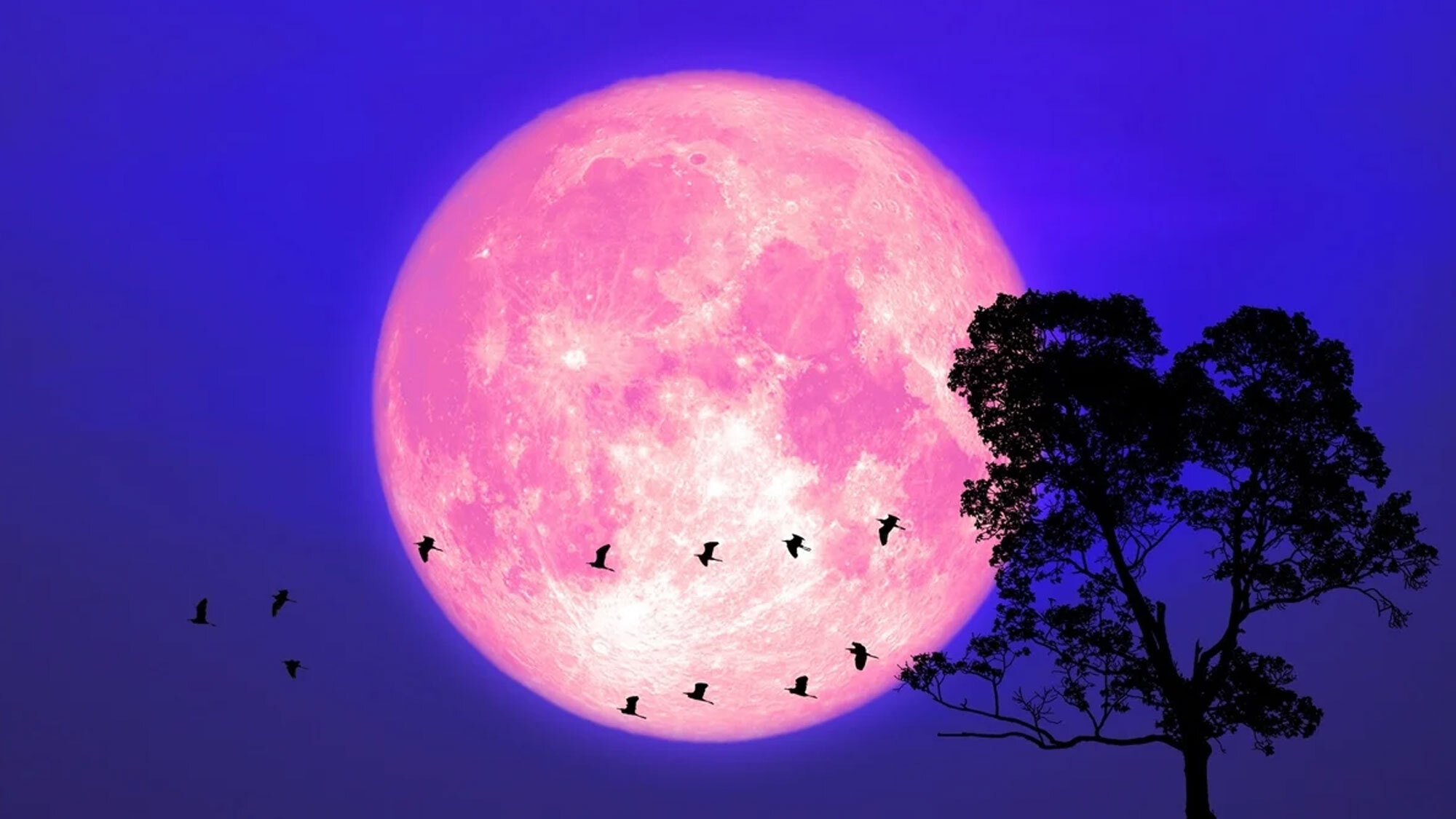 lune-rose-ciel-marseille