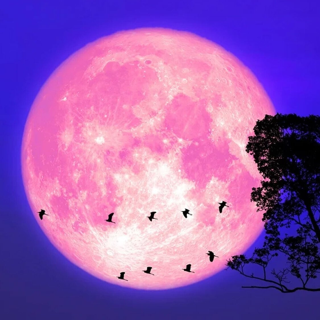 lune-rose-ciel-marseille