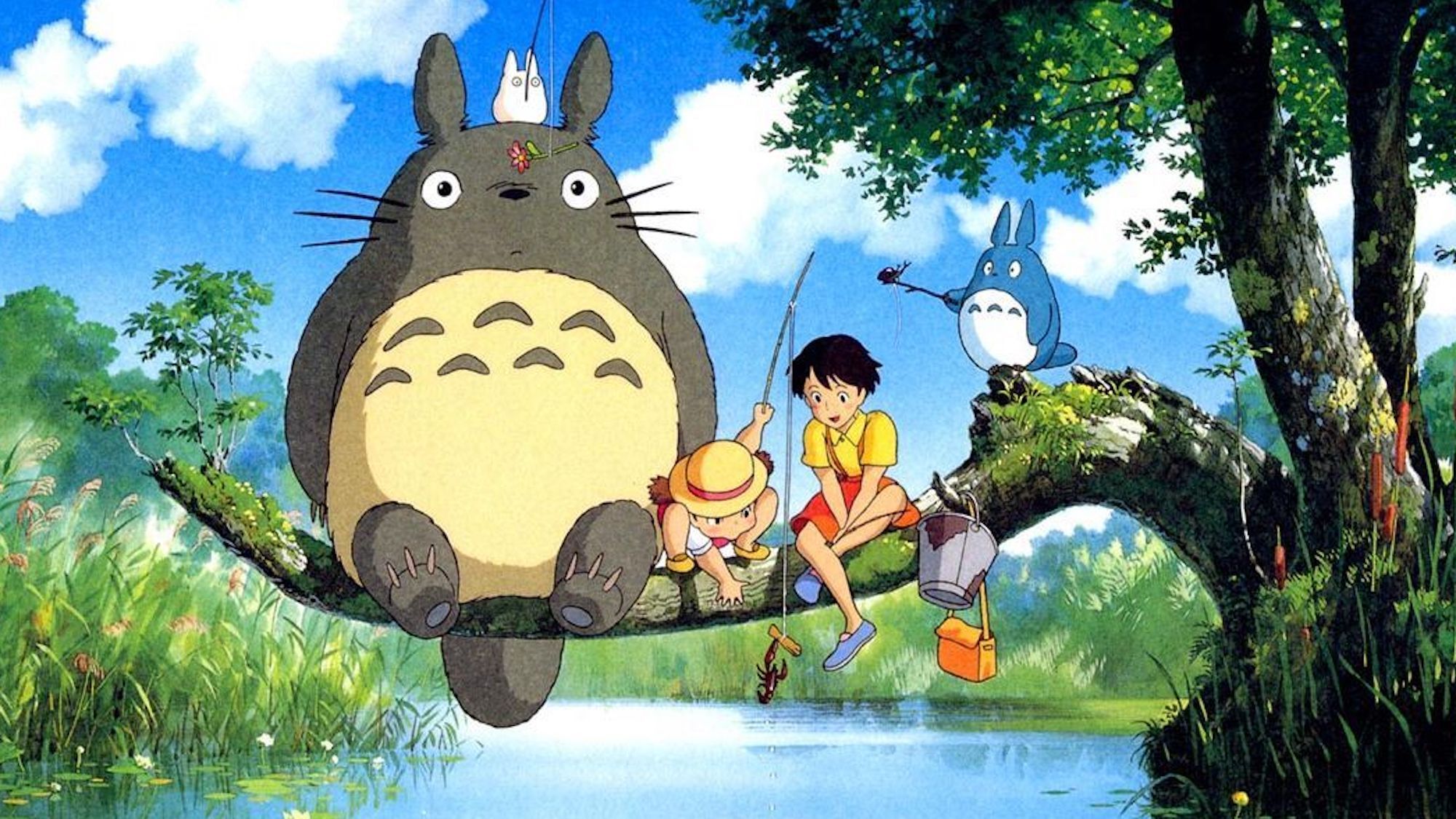 vf-totoro-slider-8555