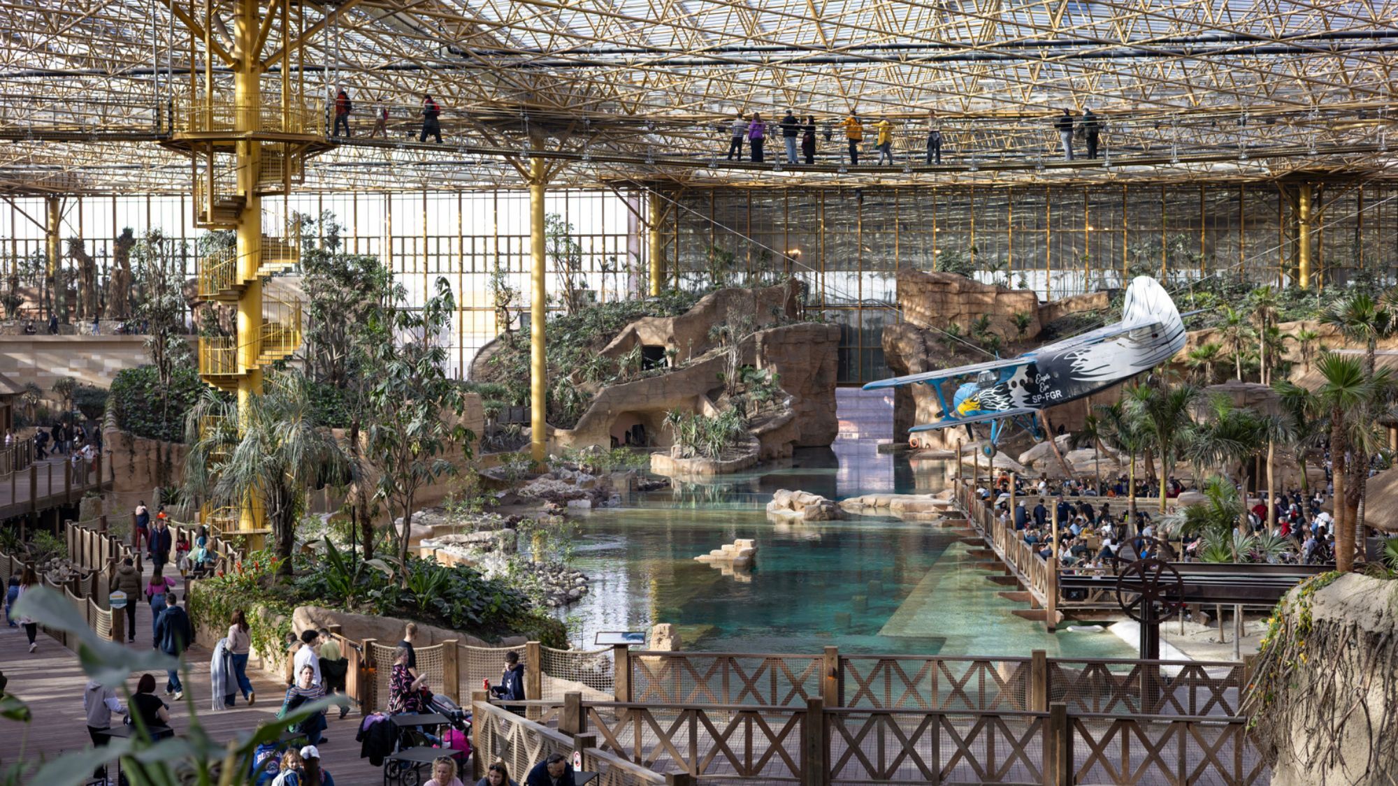 serre-tropicale-palmiers-avion