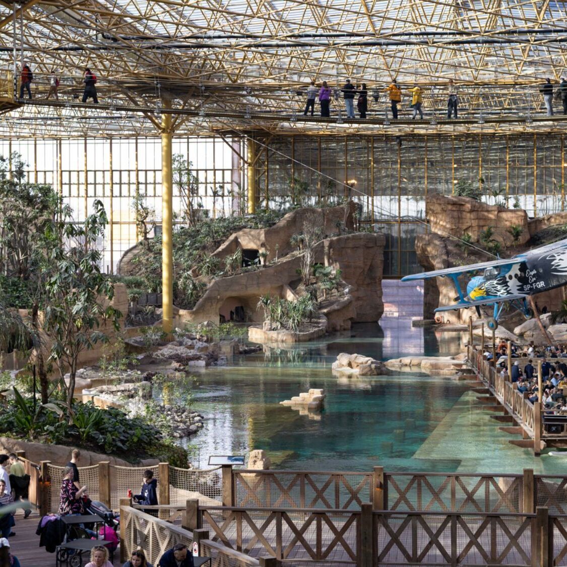 serre-tropicale-palmiers-avion