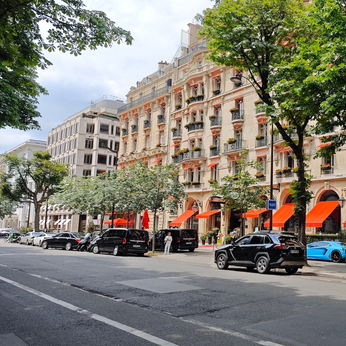 shutterstock-2478353845