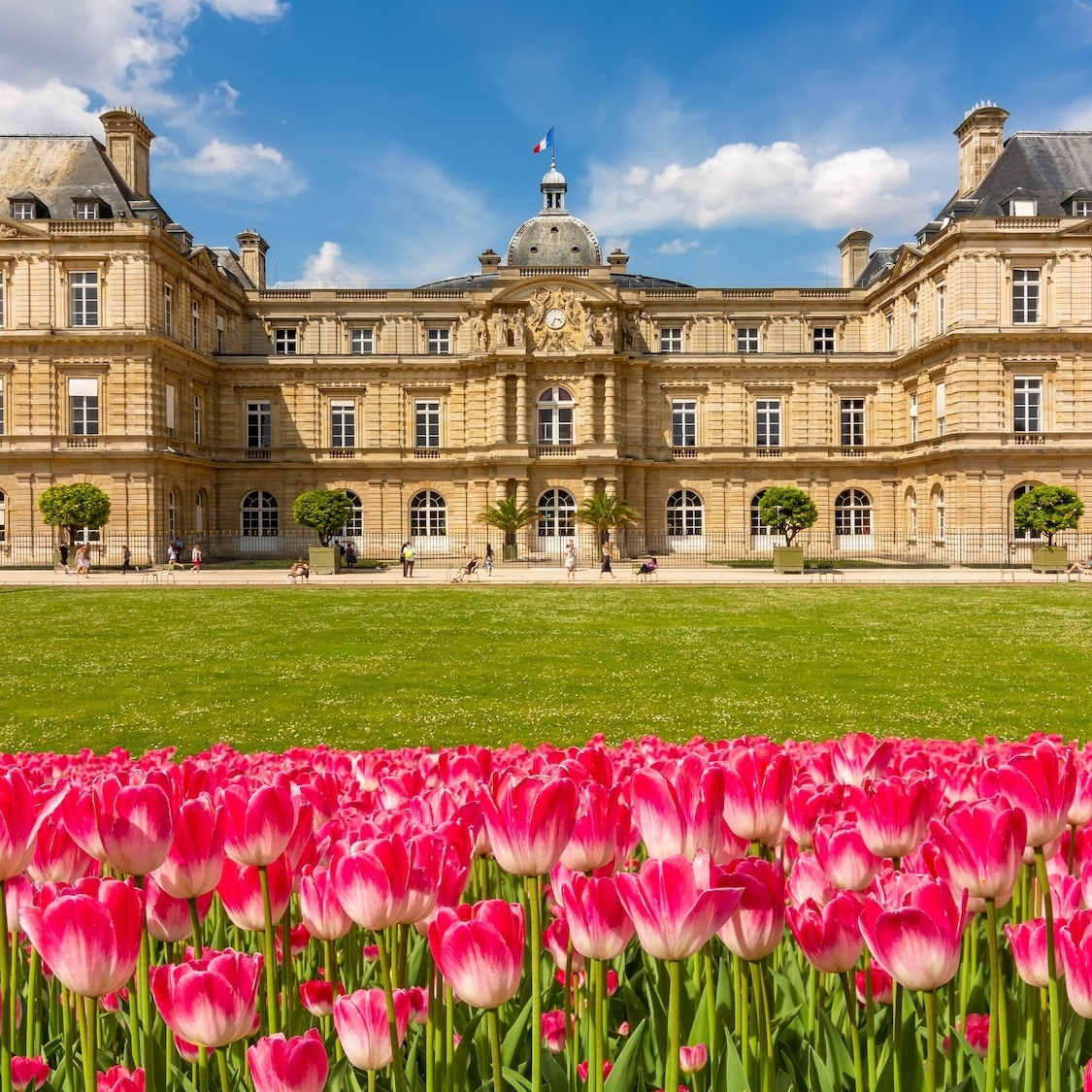 Une grande fête des tulipes dans les jardins de ce château à 1h de Paris mistervlad-shutterstock