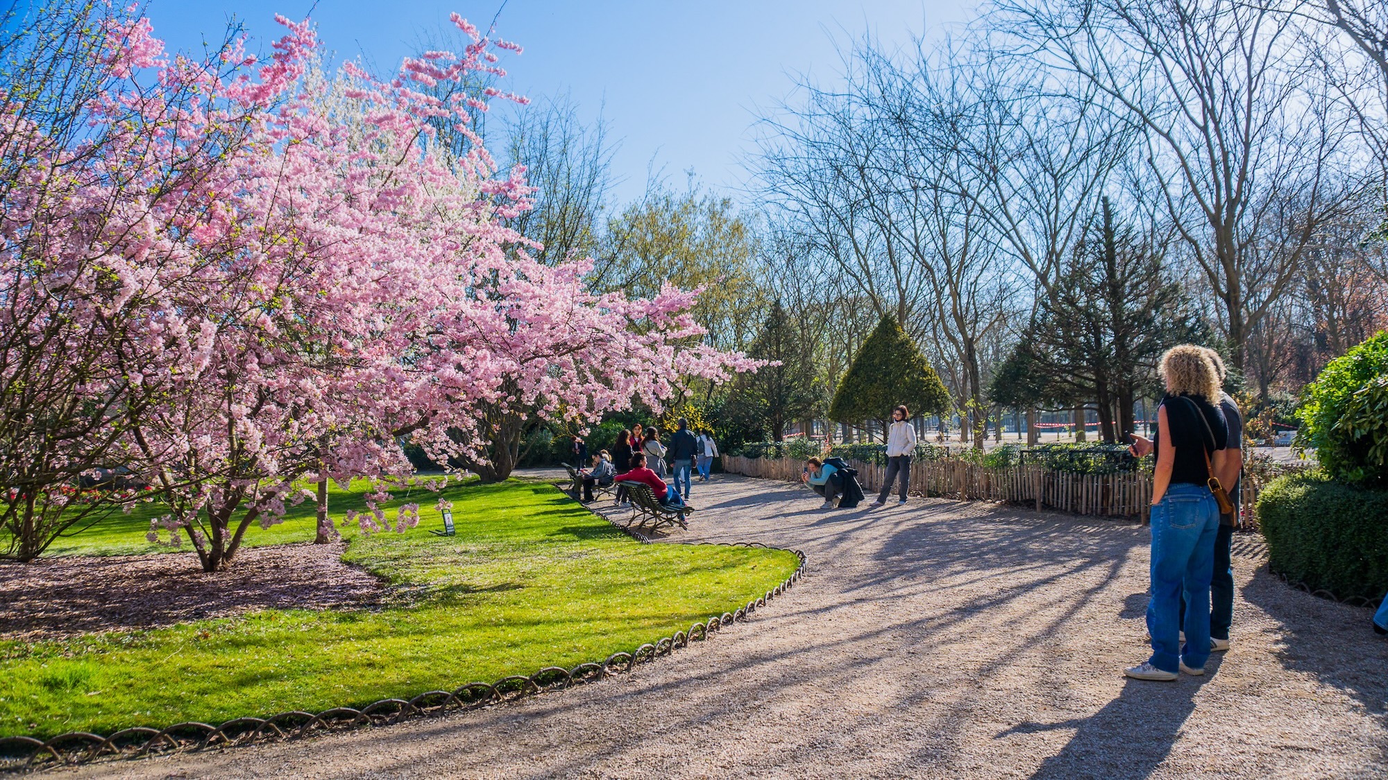 jagoda-bartus-le-bonbon