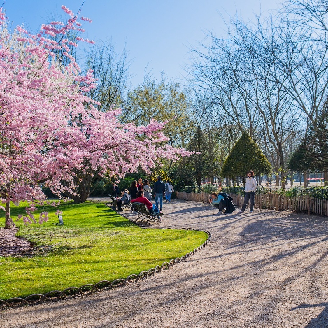 jagoda-bartus-le-bonbon
