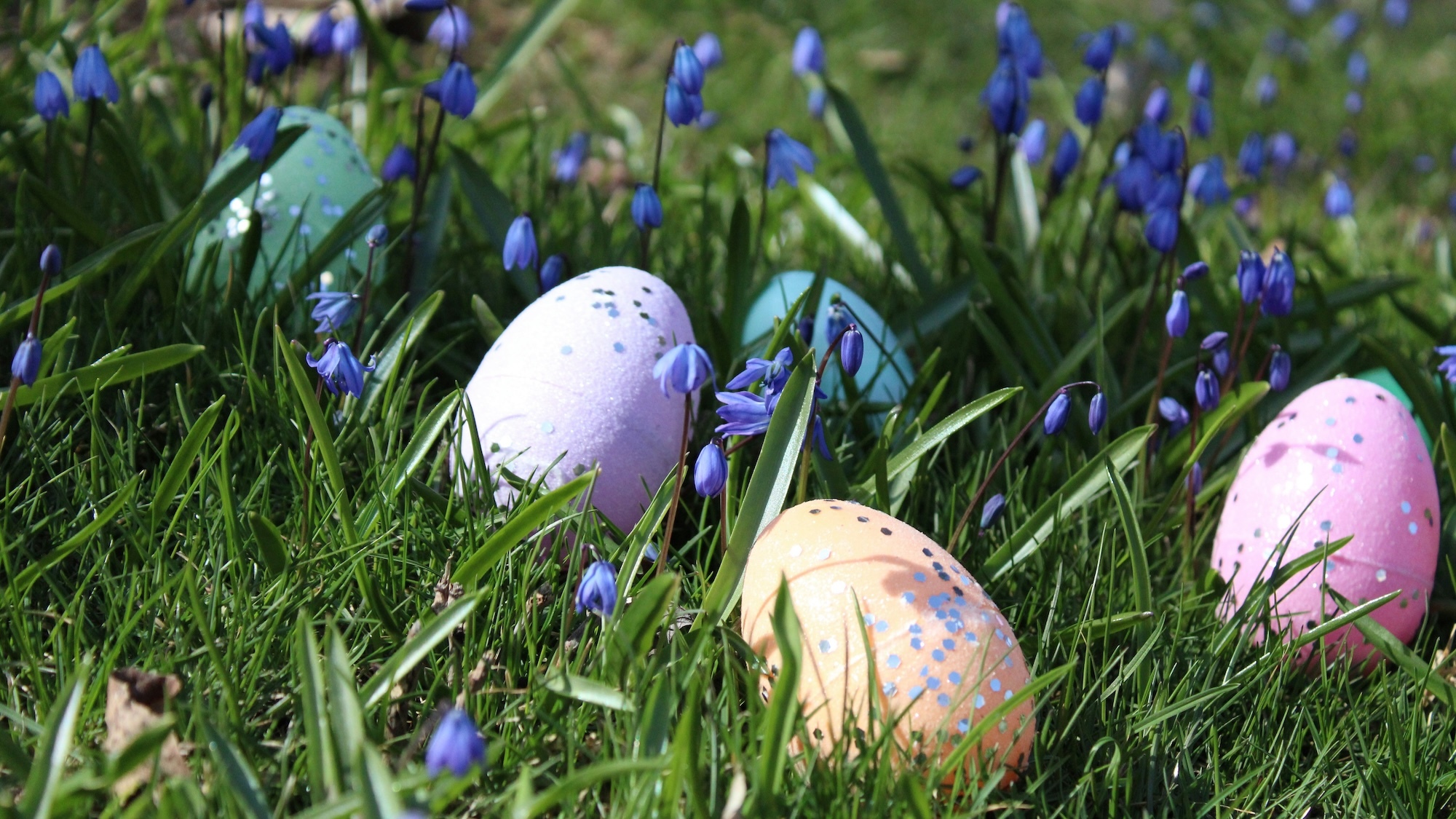 paques-jason-mayer-unsplash