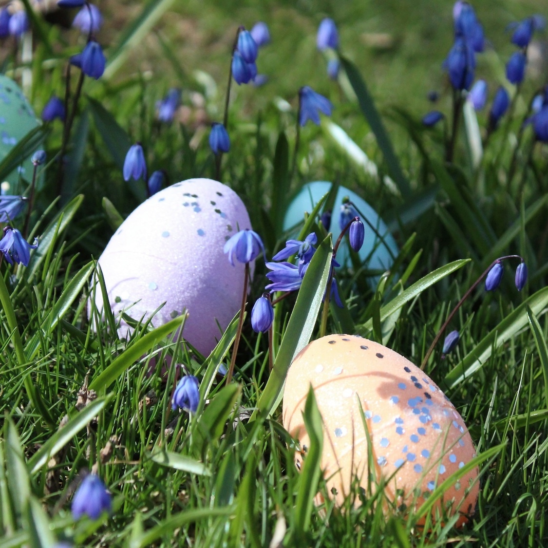 paques-jason-mayer-unsplash