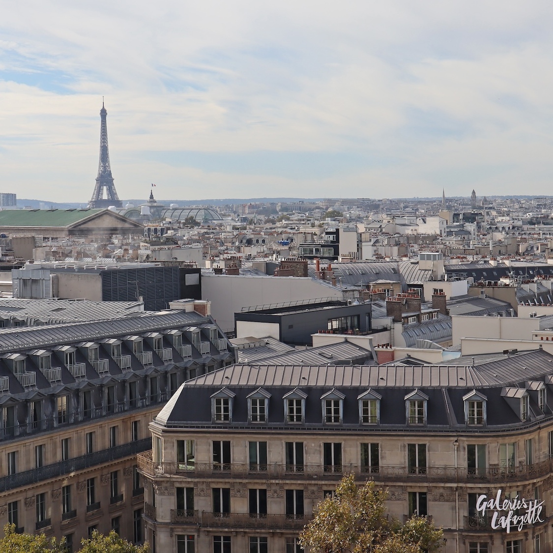 rooftop-galeries-lafayette-paris-haussmann