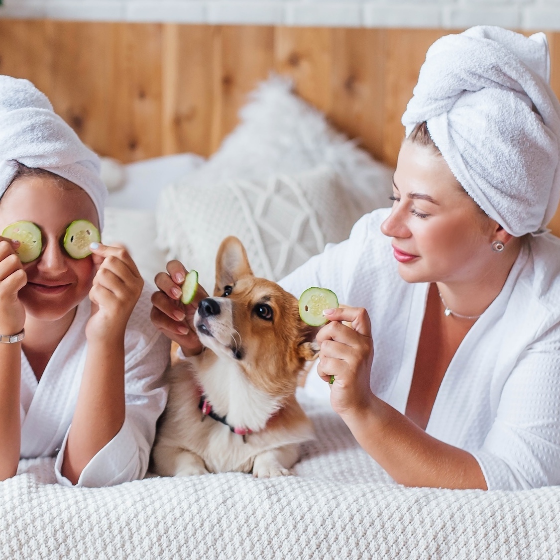 barbett-premier-spa-animalier-garderie-urbaine-can