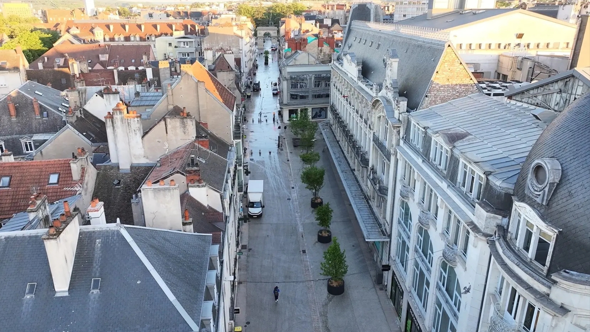 Des arbres en pots débarquent rue de la Liberté à Dijon ! des-arbres-en-pots-de-barquent-rue-de-la-liberte-