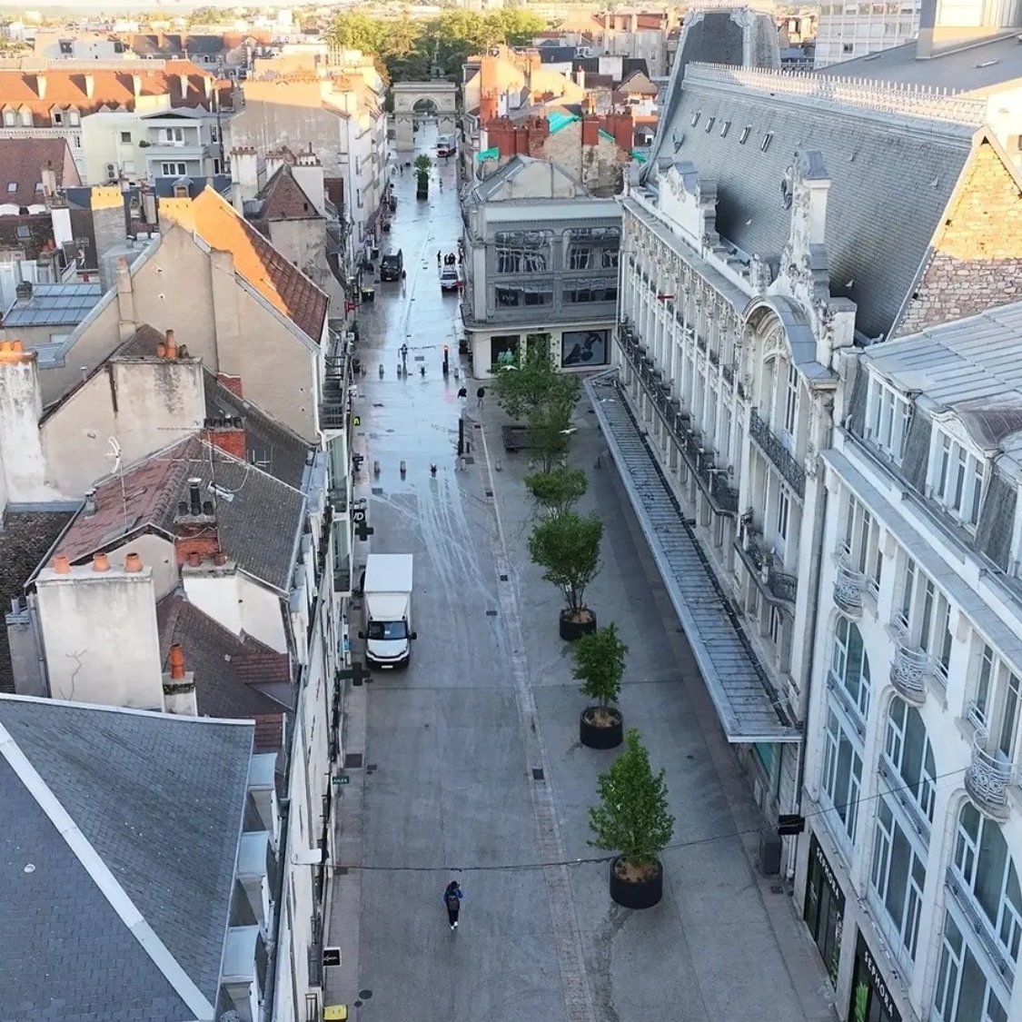 Des arbres en pots débarquent rue de la Liberté à Dijon ! des-arbres-en-pots-de-barquent-rue-de-la-liberte-