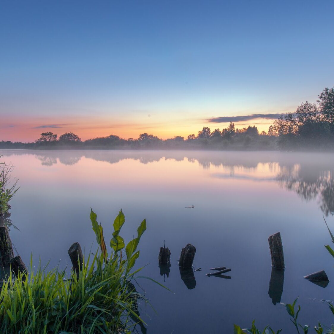 etang-coucher-soleil-arbres
