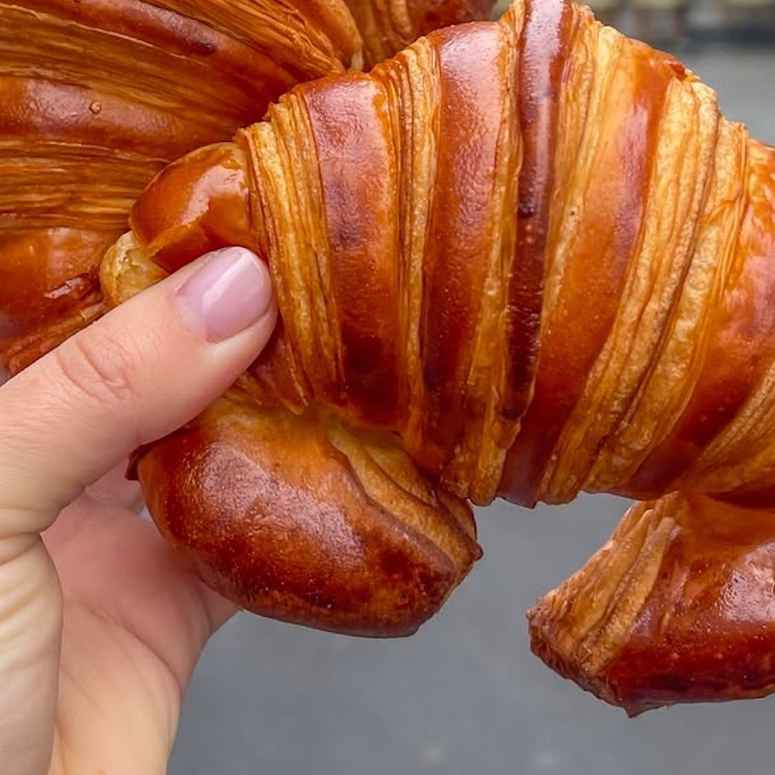 croissant