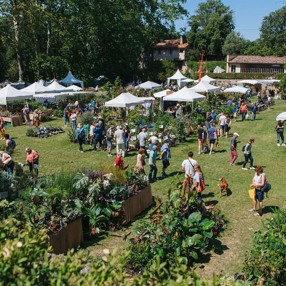jardin-fete-des-plantes-marseille