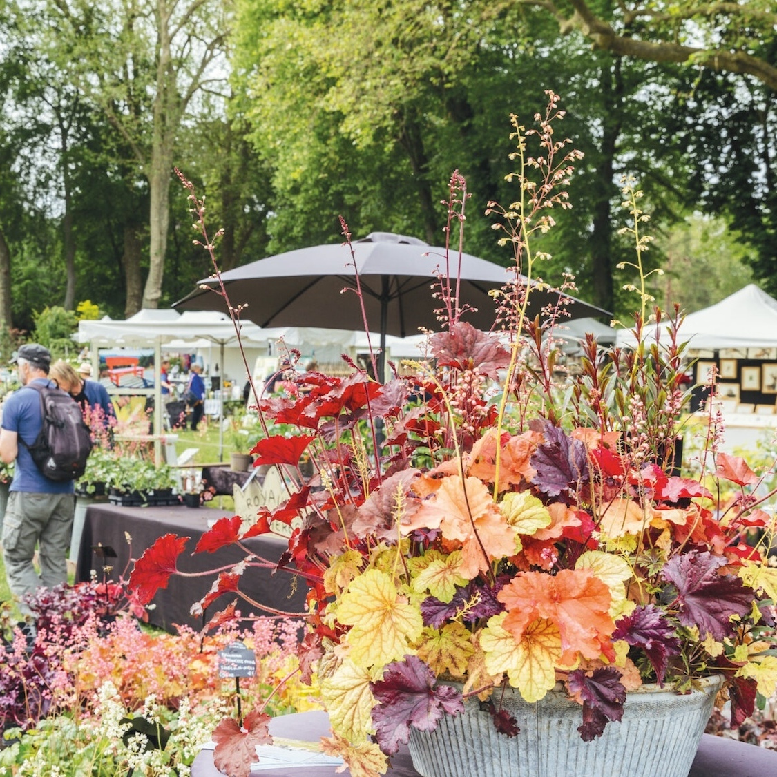Les Journées des Plantes reviennent à Chantilly avec un parrain d'exception stands-ambiances-thibault-charpentier-38-retouches