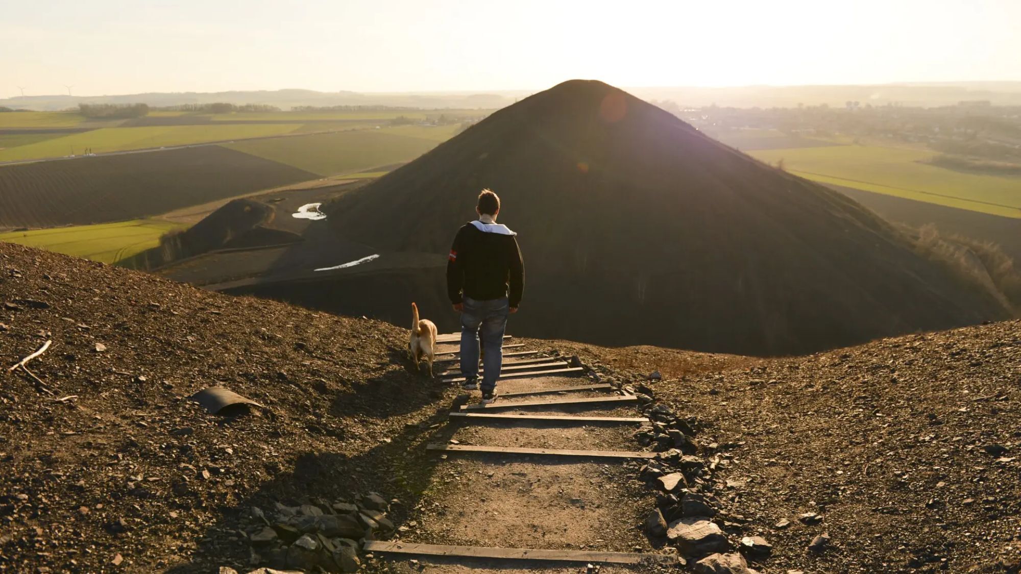 terrils-homme-chien-panorama