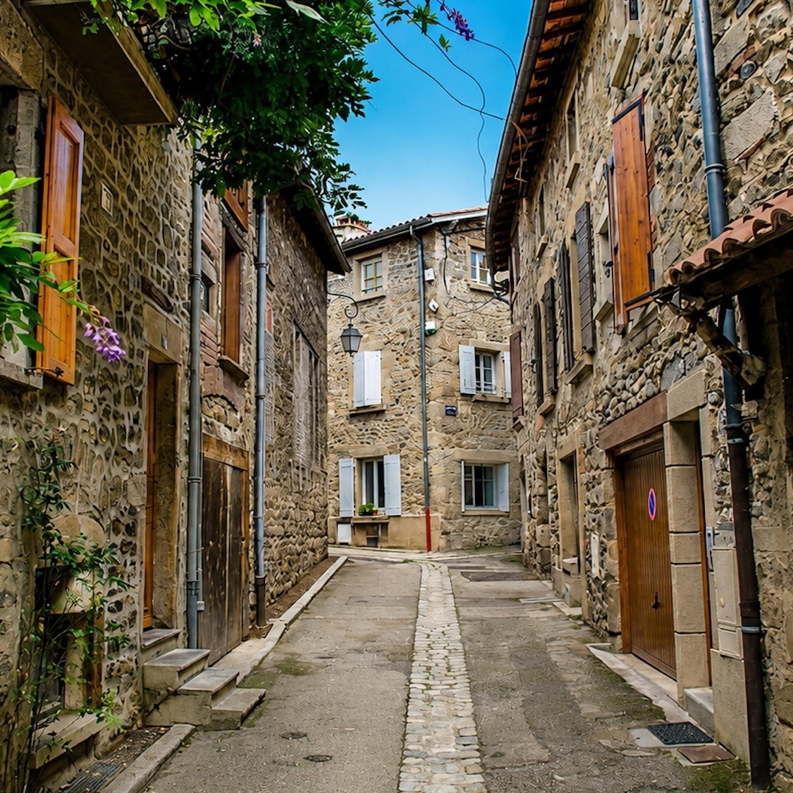 immobilier-communes-autour-lyon-tout-monde-veut-vi